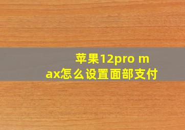 苹果12pro max怎么设置面部支付